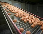 Hong Kong (Trung Quốc) cấm nhập khẩu thịt, trứng gia cầm từ Pháp