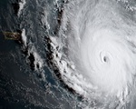 Những kỷ lục của siêu bão Irma