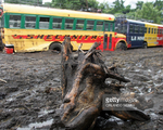 Xe bus bị mắc kẹt trên đường vì lũ lụt ở Nicaragua