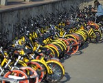 Mobike và Ofo lên kế hoạch sáp nhập dịch vụ xe đạp chia sẻ