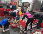Hà Tĩnh: 2 tấn cá đổ giữa đường, người dân ra gom giúp tài xế