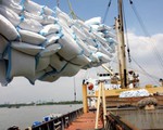 Xuất khẩu gạo tăng mạnh trong quý I/2018