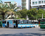 TP.HCM: Lượng khách sử dụng xe bus thí điểm tăng 10