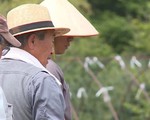 Nhật Bản: Nhiều người tìm đến niềm vui lao động sau nghỉ hưu