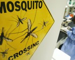 Tiêu diệt muỗi bằng cách chỉnh sửa gen