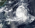 Hàn Quốc hủy hơn 200 chuyến bay vì bão Kong-rey