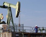 Căng thẳng giữa Mỹ và các đồng minh Vùng Vịnh quanh vấn đề dầu mỏ