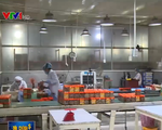 Doanh nghiệp Việt chấp nhận lợi nhuận thấp để đưa hàng vào siêu thị