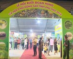Lần đầu tiên tỉnh Phú Thọ tổ chức Lễ hội bưởi Đoan Hùng