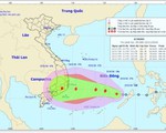 Ứng phó với áp thấp nhiệt đới sắp đổ bộ khu vực từ Phú Yên đến Bình Thuận