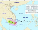 4h sáng mai, tâm bão số 9 ở bờ biển Nam Bình Thuận - Bến Tre
