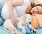 Nằm cạnh cún cưng giúp phụ nữ ngủ ngon hơn