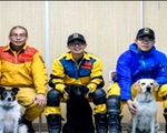 Chú chó anh hùng trong cứu hộ sau động đất ở Đài Loan, Trung Quốc