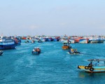 Ngư dân Quảng Trị phấn khởi với chuyến biển đầu năm
