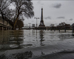 Các chuyến tàu trên sông Seine (Pháp) hoạt động lại sau lũ lụt