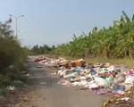 Người dân “kêu trời” vì bãi rác giữa khu dân cư