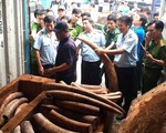 Công an Hà Nội triệt phá đường dây buôn bán ngà voi