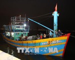 Đà Nẵng: Cứu nạn và lai dắt thành công tàu cá cùng 11 ngư dân gặp nạn về bờ an toàn