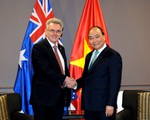 Thủ tướng tiếp Chủ tịch Hội Hữu nghị Australia - Việt Nam