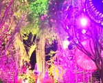 Hấp dẫn Lễ hội giao lưu văn hóa Nhật Bản 2018 tại Hà Nội