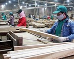 Nhiều cơ hội cho ngành gỗ Việt Nam từ nhu cầu thị trường thế giới