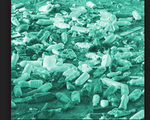 Đảo rác khổng lồ ở Thái Bình Dương lớn hơn 16 lần so với ước tính