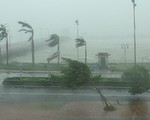 Năm 2018, dự báo có khoảng 13 cơn bão và áp thấp nhiệt đới