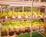 Bình Thuận đưa vào hoạt động chuỗi cung ứng nông sản, thực phẩm sạch đầu tiên
