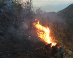 Nhiều địa phương cảnh báo nguy cơ cháy rừng