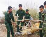 Quảng Ninh: Di dời thành công quả bom nặng gần 250kg