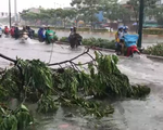 Vừa mưa 'giải nhiệt', nhiều đường Sài Gòn đã ngập sâu