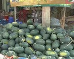 Quảng Nam: Nông sản rớt giá thê thảm, nông dân “khóc ròng”