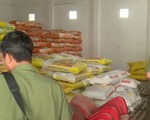 Thanh tra đột xuất một số cơ sở sản xuất, kinh doanh lúa giống ở Đồng Tháp