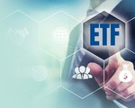 FTSE ETF và VNM ETF cơ cấu danh mục
