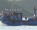 Quảng Ngãi: Hải sản bị tận diệt vì nạn đánh thuốc nổ trên biển