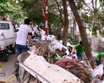 Gần 200 tình nguyện viên quốc tế và Việt Nam tham gia dọn rác thải
