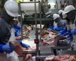 Thịt lợn Mỹ 'gặp khó' khi vào thị trường Trung Quốc