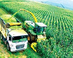 Phát triển tư duy kinh tế nông nghiệp: Giải pháp giúp nông dân làm kinh tế