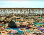 Kinh hoàng ô nhiễm rác tại biển Thanh Hóa