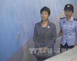 Cựu Tổng thống Park Geun-hye bị yêu cầu mức án 12 năm tù về tội nhận hối lộ từ NIS