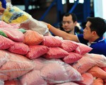 Các nước Đông Nam Á tổ chức tiêu hủy khối lượng lớn ma túy