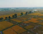 Hà Nội thu hút doanh nghiệp đầu tư vào nông nghiệp
