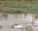 Rác thải nông nghiệp tràn ngập các hồ nước tại Đà Lạt
