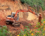 Lâm Đồng: Đề nghị xử lý hai doanh nghiệp tự ý san ủi 3,58 ha đất rừng