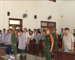 Tuyên án vụ phá rừng pơ mu Quảng Nam