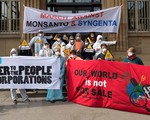 Monsanto bị kiện vì sản xuất thuốc diệt cỏ bằng chất gây ung thư