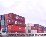 Hàng ngàn container phế liệu tồn ứ tại Việt Nam: Vì sao lại có tình trạng này?