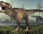 Phát hiện 300 dấu chân khủng long tại Trung Quốc