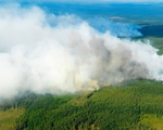 Cháy rừng lan rộng tại Thụy Điển do nắng nóng