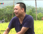 Bố ơi! Mình đi đâu thế?: Nguyễn Hải Phong hốt hoảng vì... mò phải ếch